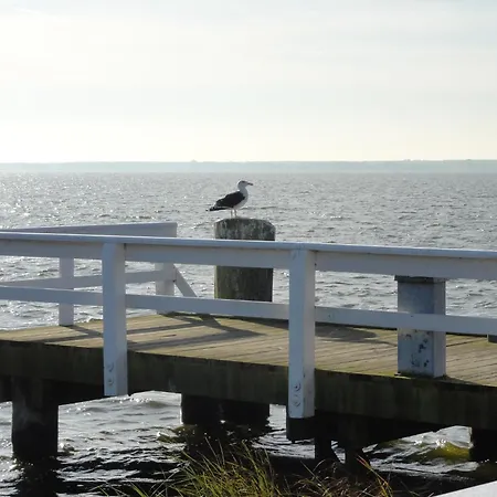 度假居 Wiecker Landhus Fhh 1
